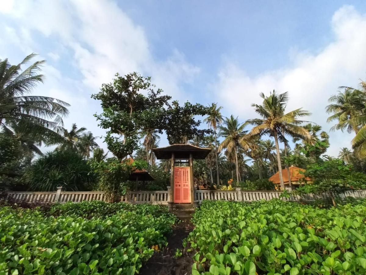 Bali North Beach B&B Tianyar Ngoại thất bức ảnh