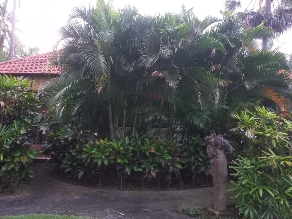 Bali North Beach B&B Tianyar Ngoại thất bức ảnh