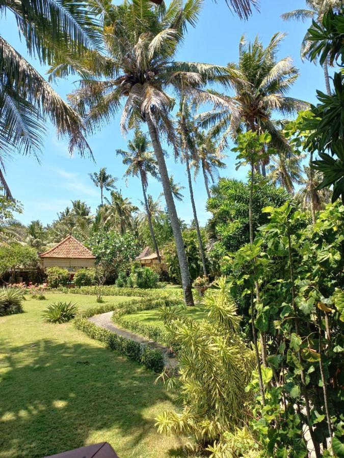Bali North Beach B&B Tianyar Ngoại thất bức ảnh